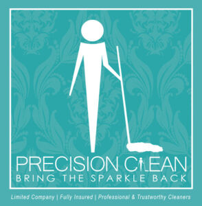 Precision clean bring the sparkle back logo