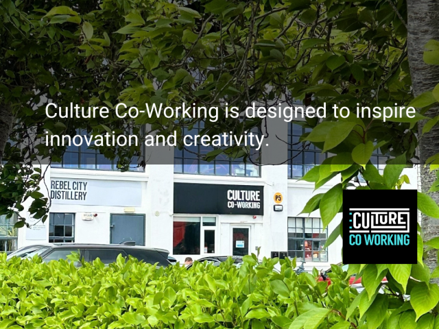 Hidden benefits of Culture Co-Working for entrepreneurs (2)